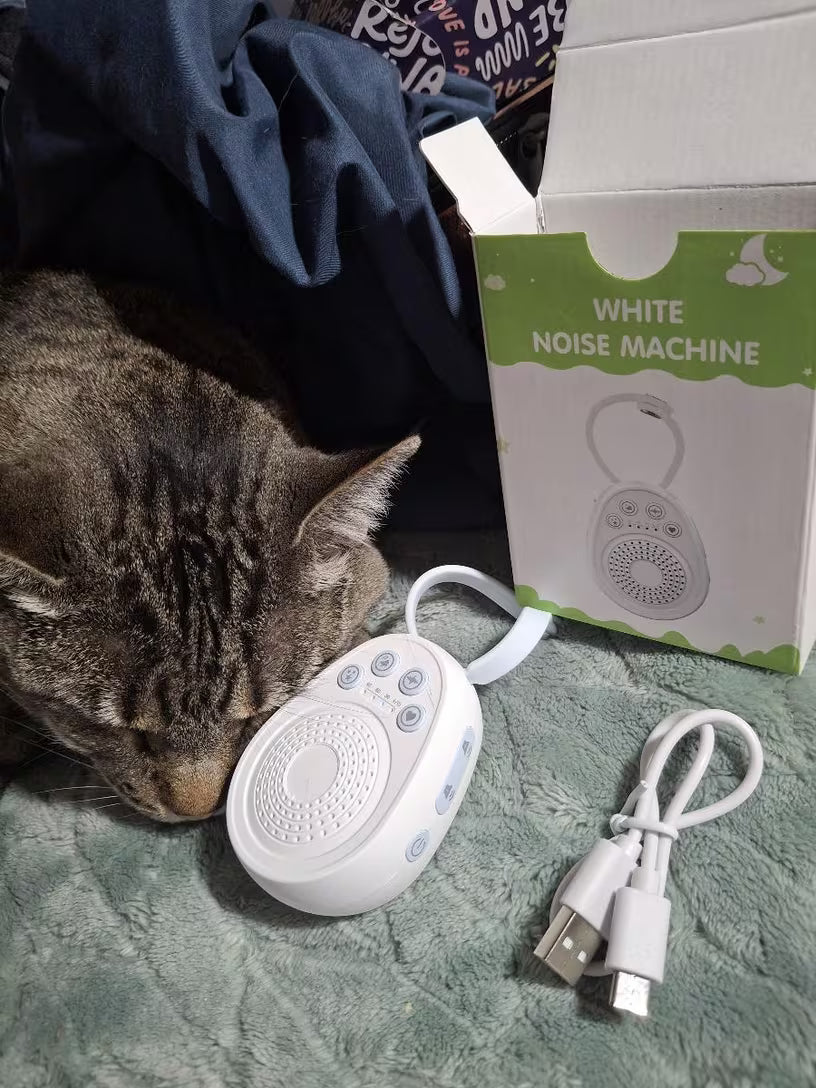 Review foto van QuietNest voor The Focus Club